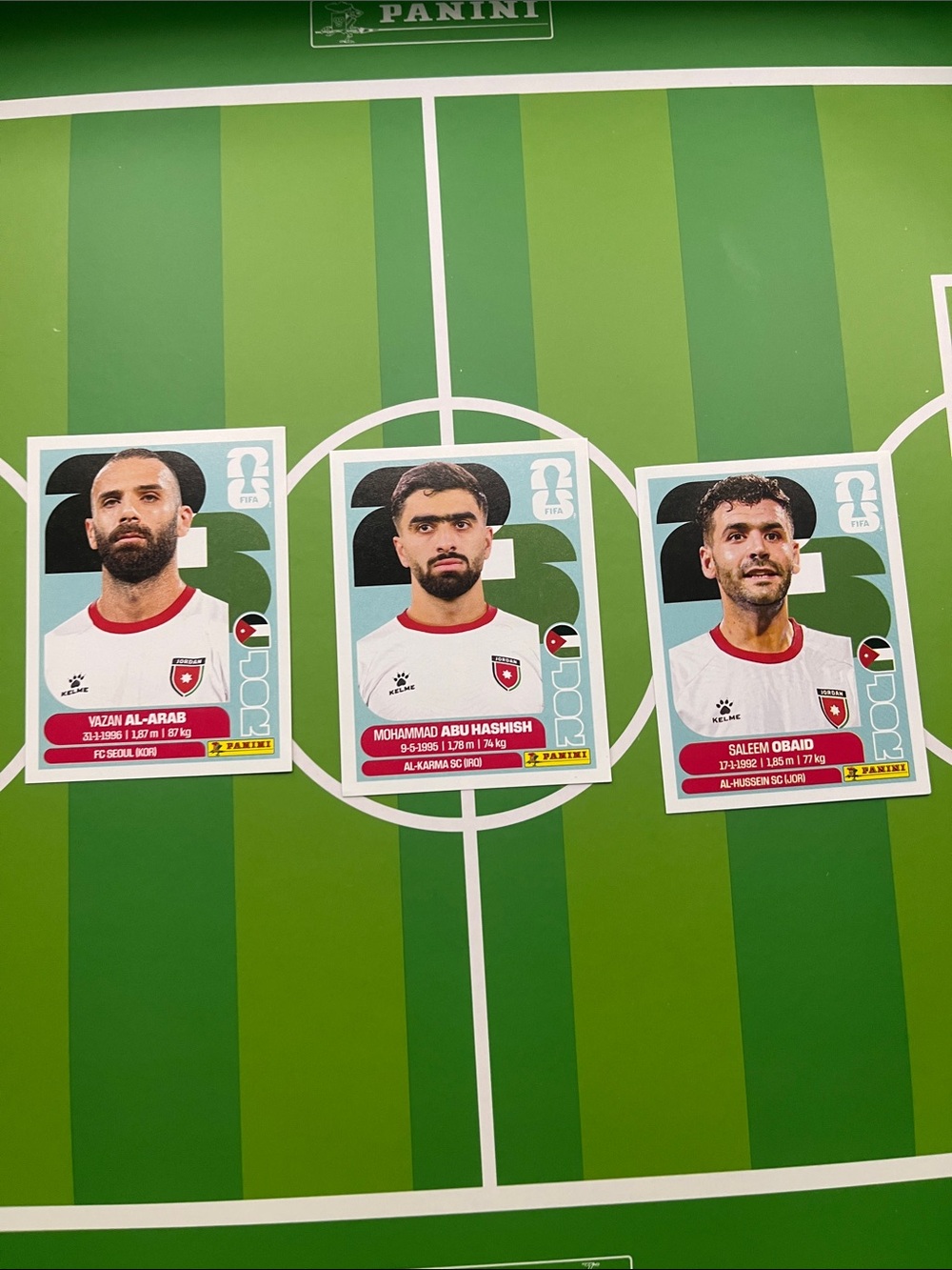 Jordan World Cup panini sticker collection